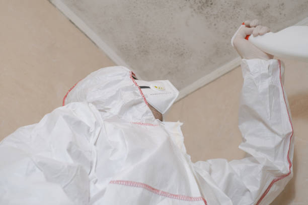 Professional Mold Removal in Red Oak, TX